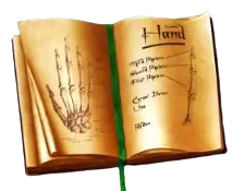 Aufgeschlagenes Buch